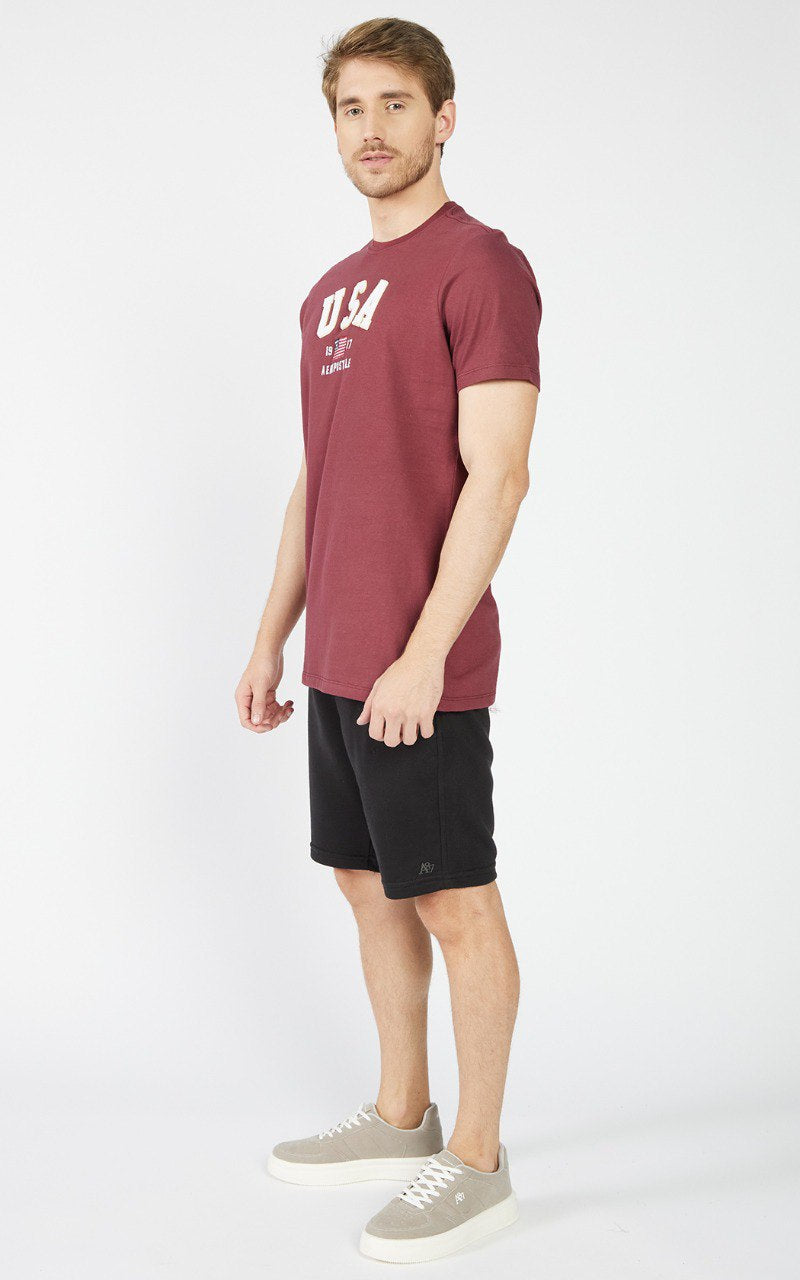 Camiseta Aéropostale de Malha Peletizada com Estampa USA - Bordô